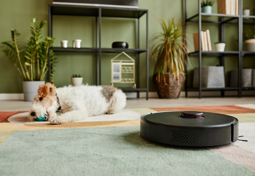 which one is the best robot vacuum cleaner